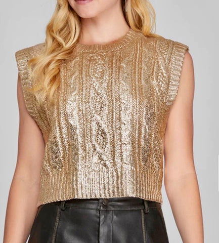 Fuschia Metallic Embroidery Top