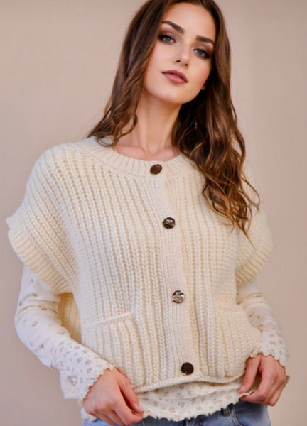 Button Down Sweater Vest