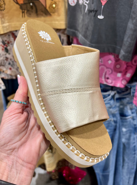 Yellowbox Gold Slides