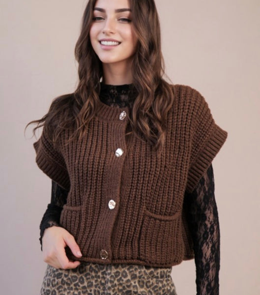 Button Down Sweater Vest