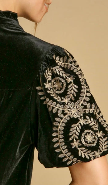 Velvet Embroidery Sleeve Top