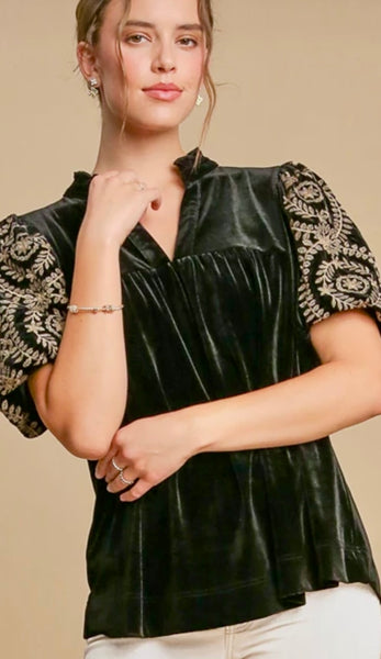Velvet Embroidery Sleeve Top